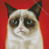 grumpy Cat Diamond Paintings