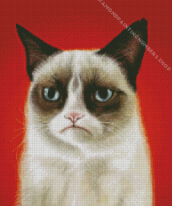 grumpy Cat Diamond Paintings