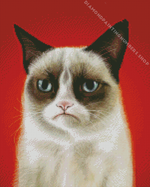 grumpy Cat Diamond Paintings