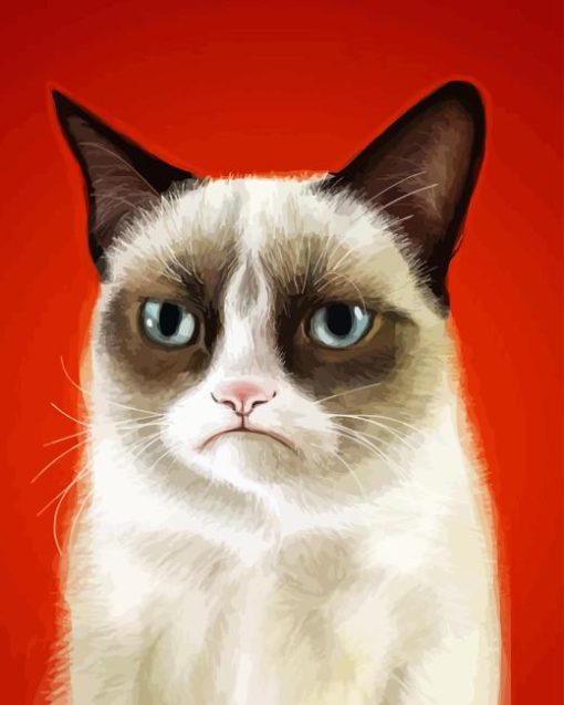 grumpy Cat Diamond Paintings