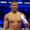 Anthony Joshua Diamond Paints