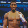 Anthony Joshua Diamond Paints