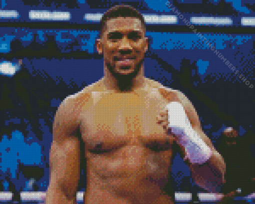 Anthony Joshua Diamond Paints