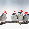 Bird Christmas Diamond By Numbers