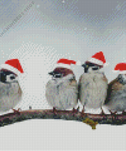 Bird Christmas Diamond By Numbers