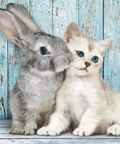 Bunny with cat Diamond By Numbers