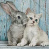 Bunny with cat Diamond By Numbers