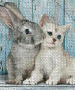 Bunny with cat Diamond By Numbers