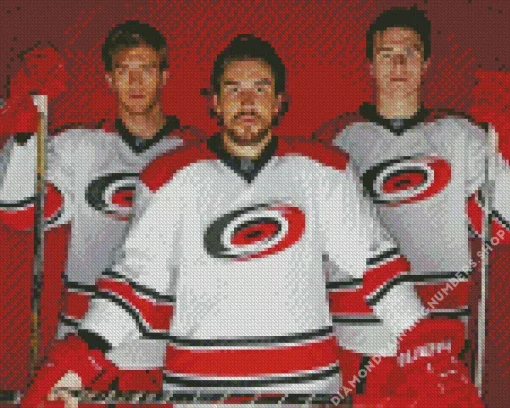 Carolina Hurricanes Diamond Paintings