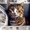 Cat with newspaper Diamond By Numbers