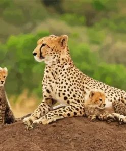 Cheetah and cubs in safari Diamond By Numbers