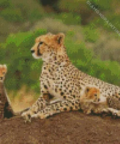 Cheetah and cubs in safari Diamond By Numbers