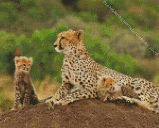 Cheetah and cubs in safari Diamond By Numbers