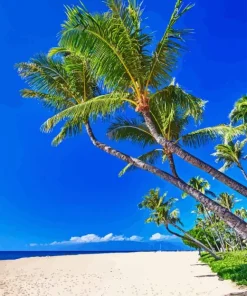 Coconut tree on beach Diamond By Numbers