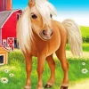 Cute Shetland pony Diamond By Numbers