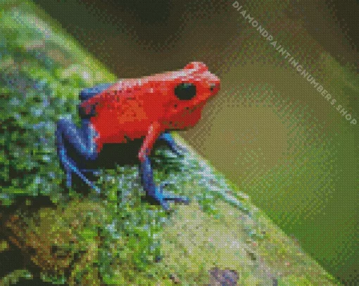 Dart frogs Diamond By Numbers