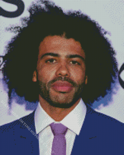 Daveed diggs Diamond Paints