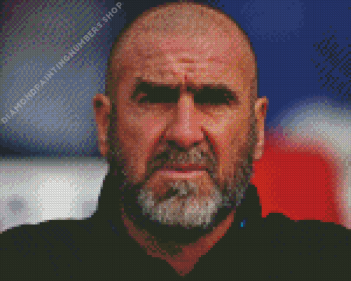 Eric Cantona Diamond Dotz