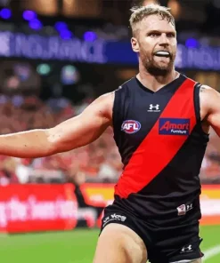 Essendon Diamond By Numbers