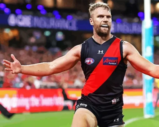 Essendon Diamond By Numbers