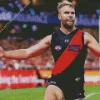 Essendon Diamond By Numbers