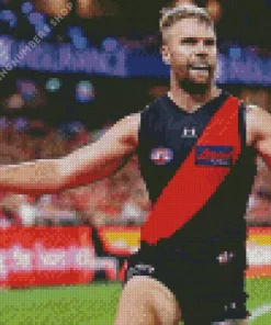 Essendon Diamond By Numbers