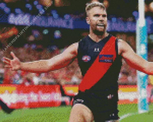 Essendon Diamond By Numbers