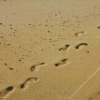 Footprints in sand Diamond With Numbers