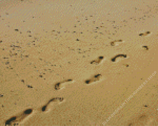 Footprints in sand Diamond With Numbers