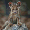 Fossa animal Diamond Dotz