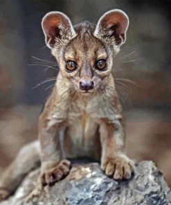 Fossa animal Diamond Dotz