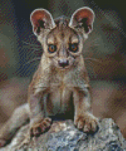 Fossa animal Diamond Dotz