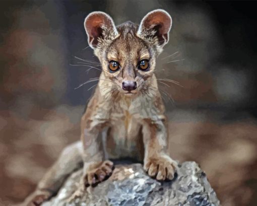 Fossa animal Diamond Dotz