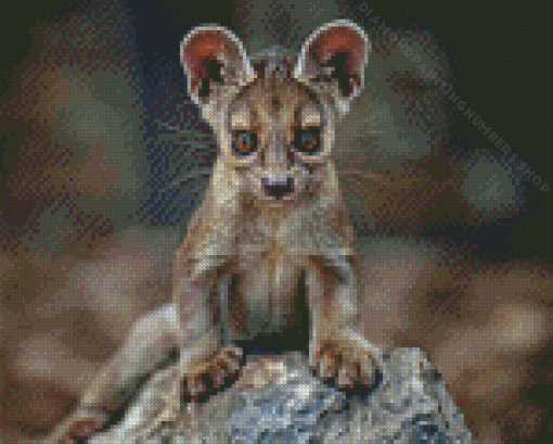 Fossa animal Diamond Dotz