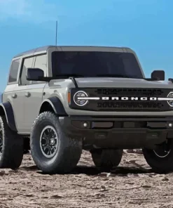 Grey ford Bronco Diamond By Numbers