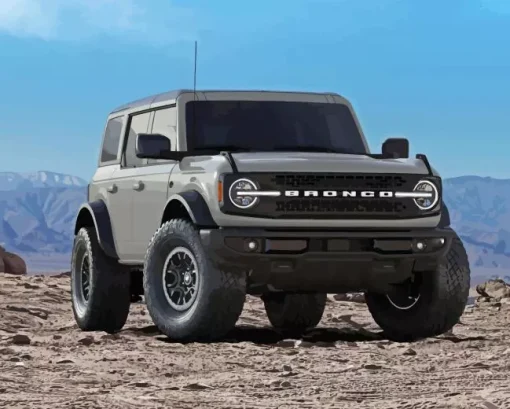 Grey ford Bronco Diamond By Numbers