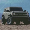 Grey ford Bronco Diamond By Numbers