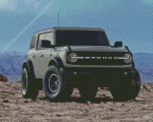 Grey ford Bronco Diamond By Numbers