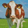 Guernsey cow Diamond By Numbers