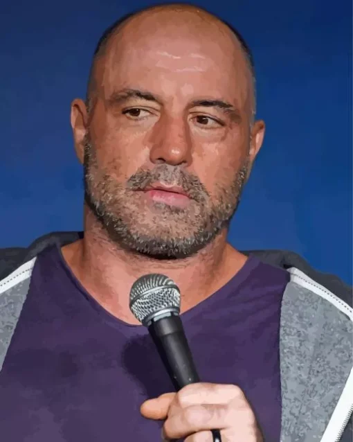 Joe Rogan Diamond By Numbers