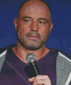 Joe Rogan Diamond By Numbers