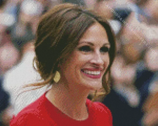 Julia roberts Diamond By Numbers