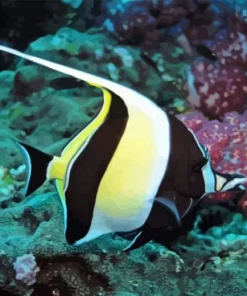 Moorish idol Diamond By Numbers