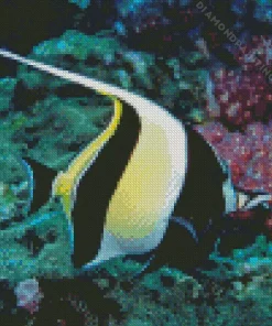 Moorish idol Diamond By Numbers