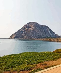 Morro bay Diamond Dotz