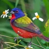 Painted bunting Diamond By Numbers