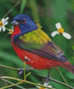 Painted bunting Diamond By Numbers