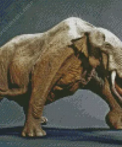 Platybelodon Diamond By Numbers