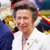 Princess Anne Diamond By Numbers