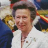 Princess Anne Diamond By Numbers